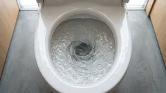 Microbii din toaletă ajung chiar și pe periuța dvs. de dinți – iată ce puteți face pentru a evita acest lucru