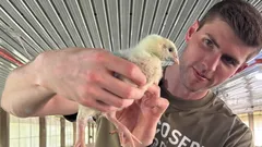 Un bancher de 27 de ani a renunțat la un salariu de 150.000 de dolari și a plecat să crească găini — și iată de ce