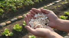 O arunci degeaba! Unde coaja de ou salvează cu adevărat plantele